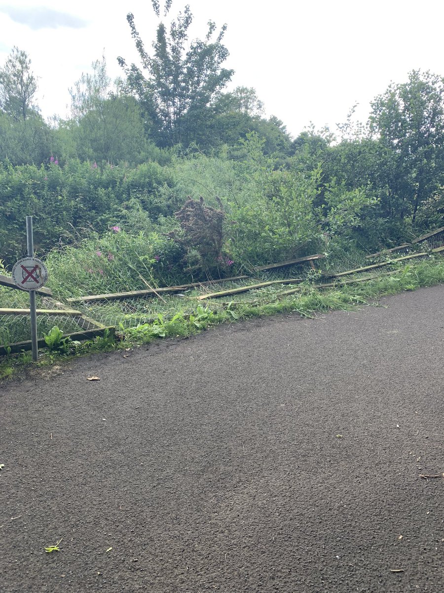 oliverjquinn's tweet photo. So it’s finally open with nice new clean tarmac. Phase2 of #Sprucefield #ParkAndRide to #UnionLocks #LaganTowpath Let’s hope those responsible for its upkeep do a better job that current maintenance on #UnionBridge to #MooresBridge section @deptinfra @lisburnccc https://t.co/cMwYGtmH6S