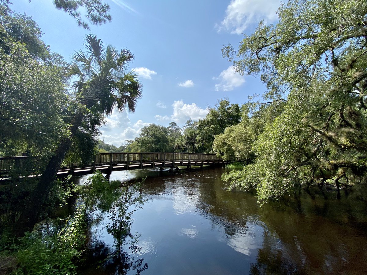 dolbyl's tweet photo. “Wilderness is not a luxury but necessity of the human spirit.” –Edward Abbey 👣. #optoutside #getoutside #getoutsideandplay #getoutsideandexplore #outdooradventures #forestbathing #natureishealing #nature #naturephotography #barrstreettrailhead #hikefl #hikeflorida #mudtrails https://t.co/AcquvXLRnH