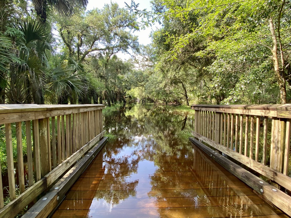 dolbyl's tweet photo. “Wilderness is not a luxury but necessity of the human spirit.” –Edward Abbey 👣. #optoutside #getoutside #getoutsideandplay #getoutsideandexplore #outdooradventures #forestbathing #natureishealing #nature #naturephotography #barrstreettrailhead #hikefl #hikeflorida #mudtrails https://t.co/AcquvXLRnH
