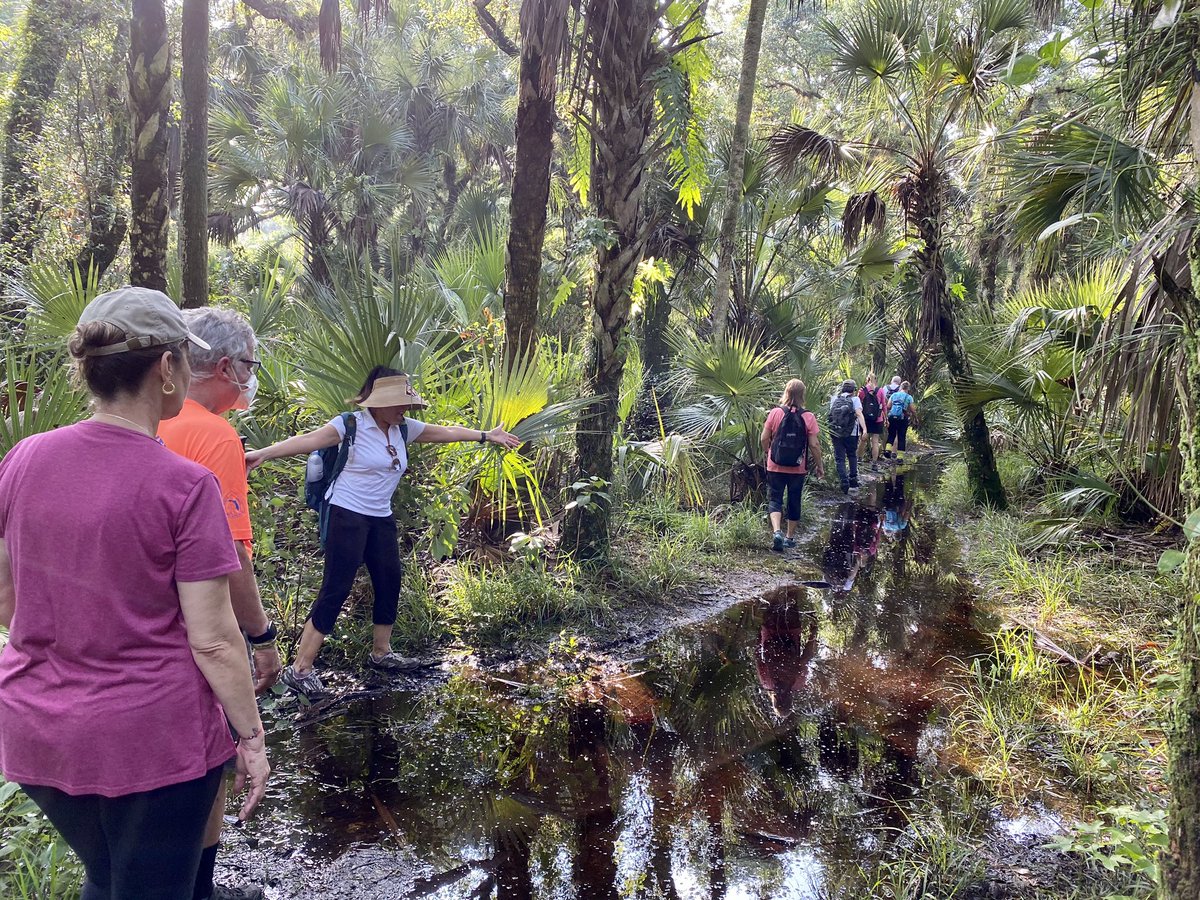 dolbyl's tweet photo. “Wilderness is not a luxury but necessity of the human spirit.” –Edward Abbey 👣. #optoutside #getoutside #getoutsideandplay #getoutsideandexplore #outdooradventures #forestbathing #natureishealing #nature #naturephotography #barrstreettrailhead #hikefl #hikeflorida #mudtrails https://t.co/AcquvXLRnH