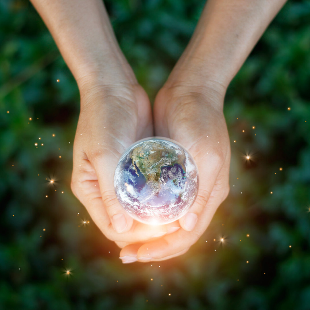 NatureKnowsInc's tweet photo. Our planet is important. Nature Knows believes that take caring of the earth and nurture the earth is vital for our own well-being.

How do you take care of the earth? https://t.co/sc47zwu3AO