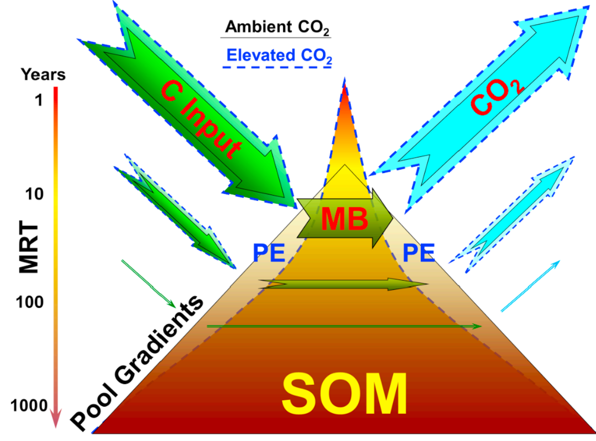 ykuzyakov's tweet photo. The #Review is now a #HotPaper!!!

#Review and #synthesis of the effects of #elevated atmospheric #CO2 on soil processes: No changes in #pools, but increased #fluxes and accelerated #cycles
https://t.co/O9iczgKs3u https://t.co/1aaJa7ET77