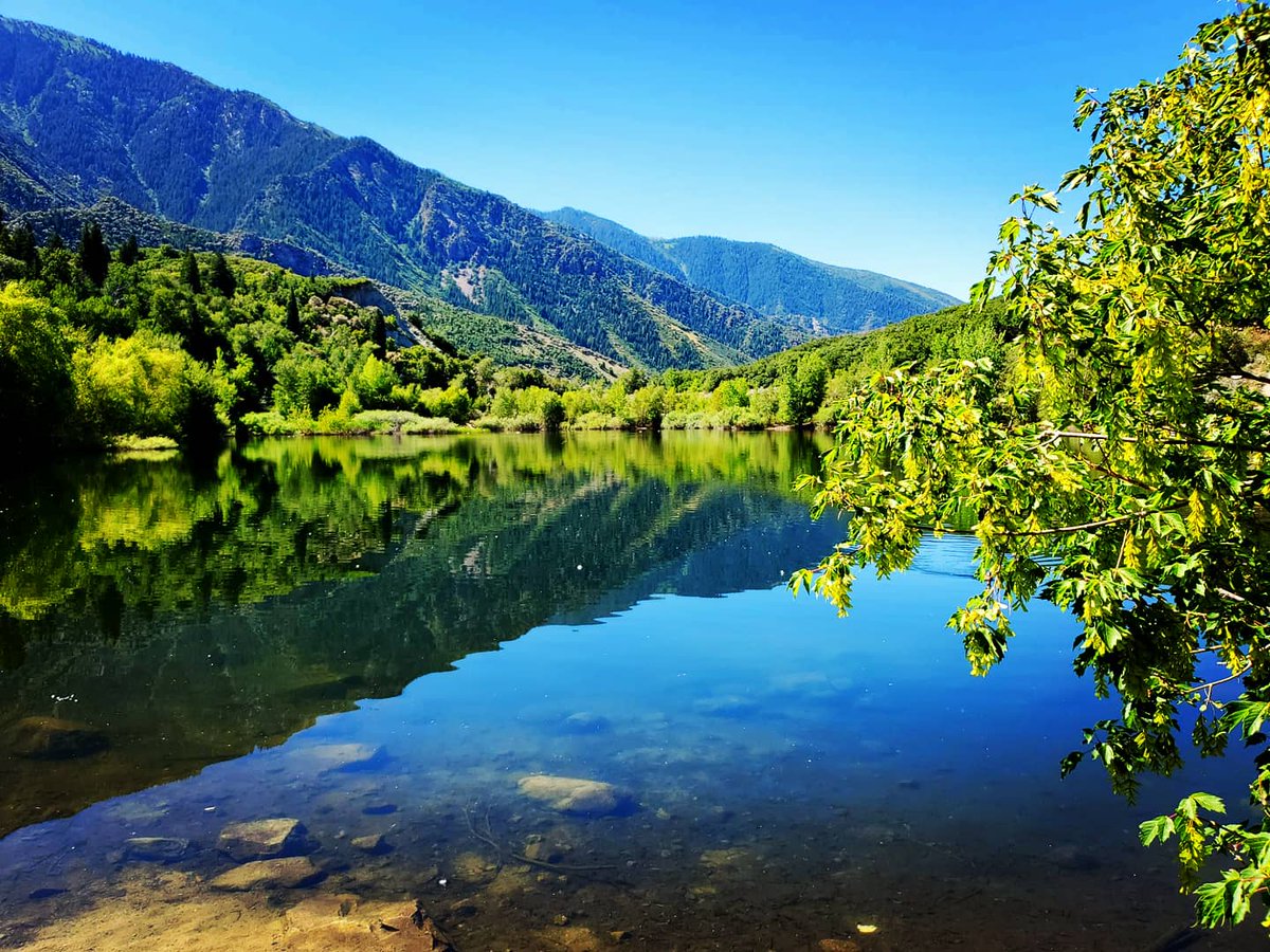 bugsterdrew's tweet image. It's hard to not find beauty in Utah. Everywhere you go it is staring back at you. From mountain greens to redrock scenes. Utah is Rad.
#utahisrad #utahgram #scenicutah #lifeelevated #utah #beautiful #NaturePhotography