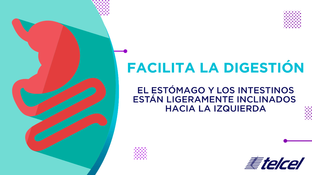 Telcel's tweet image. ¿Sabías que dormir del lado izquierdo te da grandes beneficios? 🛌 Chécalos aquí 👉bit.ly/2BN45V👈 y conéctate con #LaRedDeTusEmociones para #DespiertaTuPoderInterior. 🌟 Si quieres conocer más tips, coméntanos con un 😎.