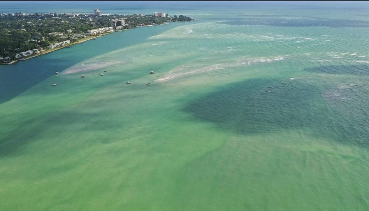 tbenderphoto1's tweet photo. #HTPhotoGallery #PHOTOS
#Sarasotaโs #BigPass to be #Dredged
moving some 710,000 #cubicyards of #sand from #BigPass to a 1.56-mile stretch of #LidoBeach #HTNews
https://t.co/FUwDrnQF18
#ReadAllAboutIt By @EmilyWunderlich
@HeraldTribune
https://t.co/hnlh2uU10F https://t.co/yPZUc8MBp1