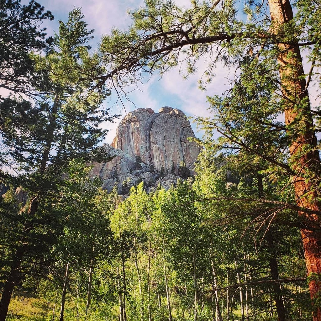 VisitRMNP's tweet photo. A nice view this evening of Twin Owls through the trees on the Black Canyon Trail. #visitrmnp https://t.co/MgF6D2dpSt https://t.co/g758RNui3W