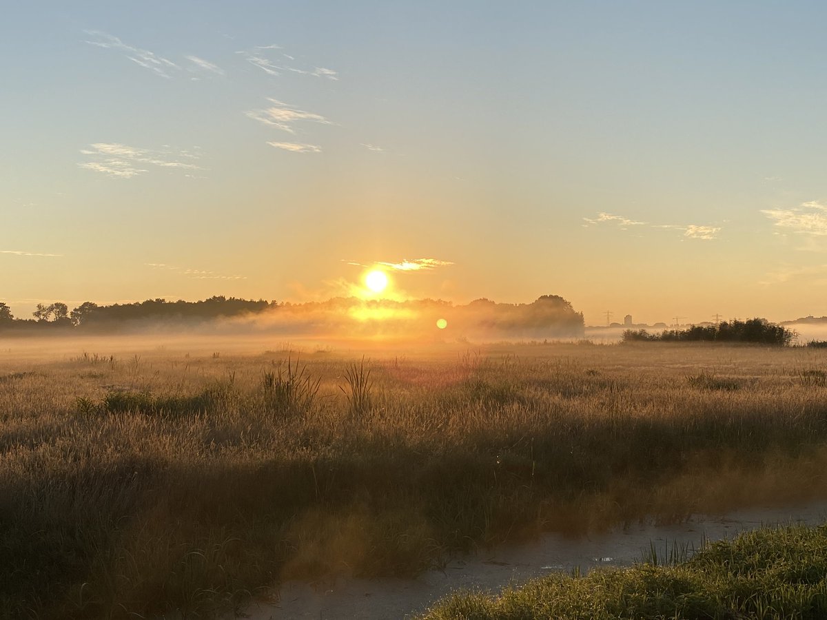 spekkie_master's tweet photo. Vandaag onderweg naar werk #zon en #dauw over de #landerijen #rtlweer #weer https://t.co/cjoGWLykCA