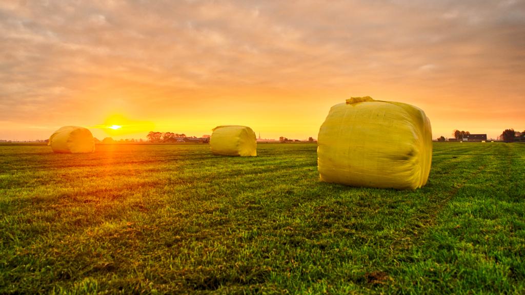 Goedenmorgen , mijn eerste weer tweet is een feit. 2020

<a href="/WNLVandaag/">WNL Vandaag</a> 

<a href="/WNLOpZondag/">WNL Op Zondag</a>