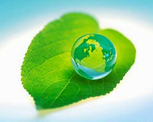 aobadairo's tweet photo. Green Monday!

Tag a friend working on #green.

It's another green revolution #Monday.

#Mondaymood #Mondaymorning #Mondaythoughts #Mondaymoney #Gardenlife #Farmlife #Backtosoil #aobadairo https://t.co/G7sTIczz3p