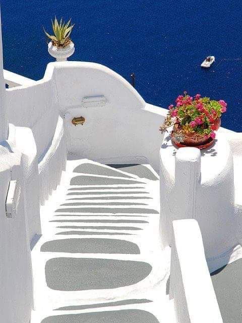 FilippidouO's tweet photo. Καλημέρα καλημέρα !!!❤️κ καλη εβδομάδα για όλους μας !!❤️🥰🌺 https://t.co/ZaIggMvhRr