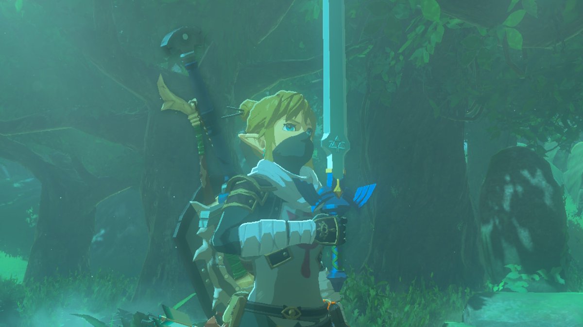 OVGSaV's tweet image. More #BreathoftheWild screenshots! #NintendoSwitch