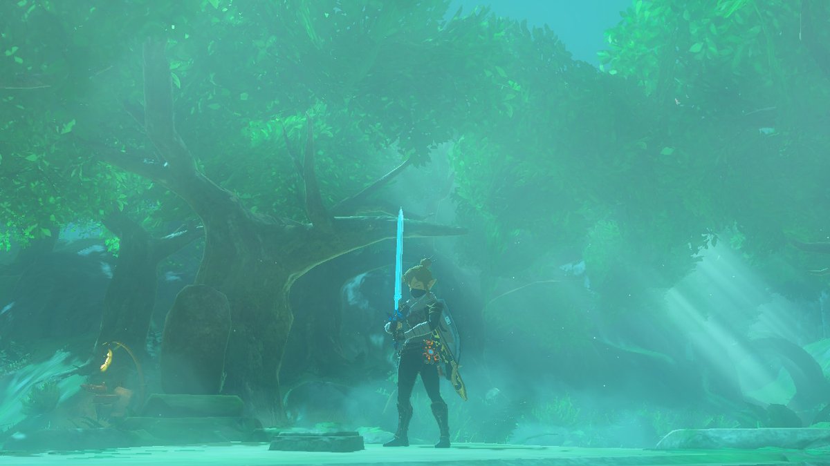 OVGSaV's tweet image. More #BreathoftheWild screenshots! #NintendoSwitch