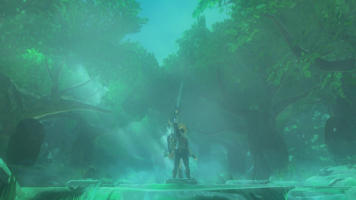 OVGSaV's tweet image. More #BreathoftheWild screenshots! #NintendoSwitch