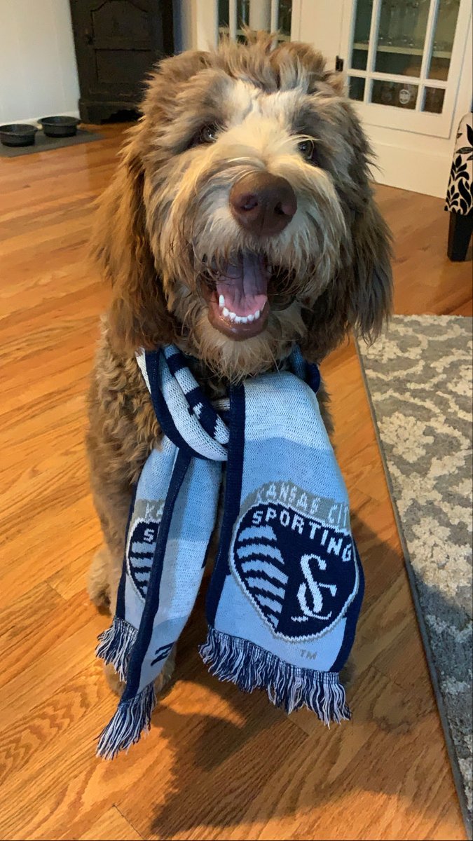 ScottMo23607041's tweet photo. Chip loves Sporting. #MLSisBack https://t.co/xxBeySVNcm