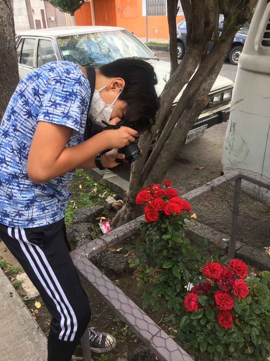 Mi hijo quiere ser fotógrafo.  Me costó trabajo no decirle que la situación es compleja, que no va a encontrar trabajo, que la gente no valora su mirada. Mejor le pagué un curso  por zoom y ahora no deja de aplicar lo que aprede y yo soy la asistente más feliz.