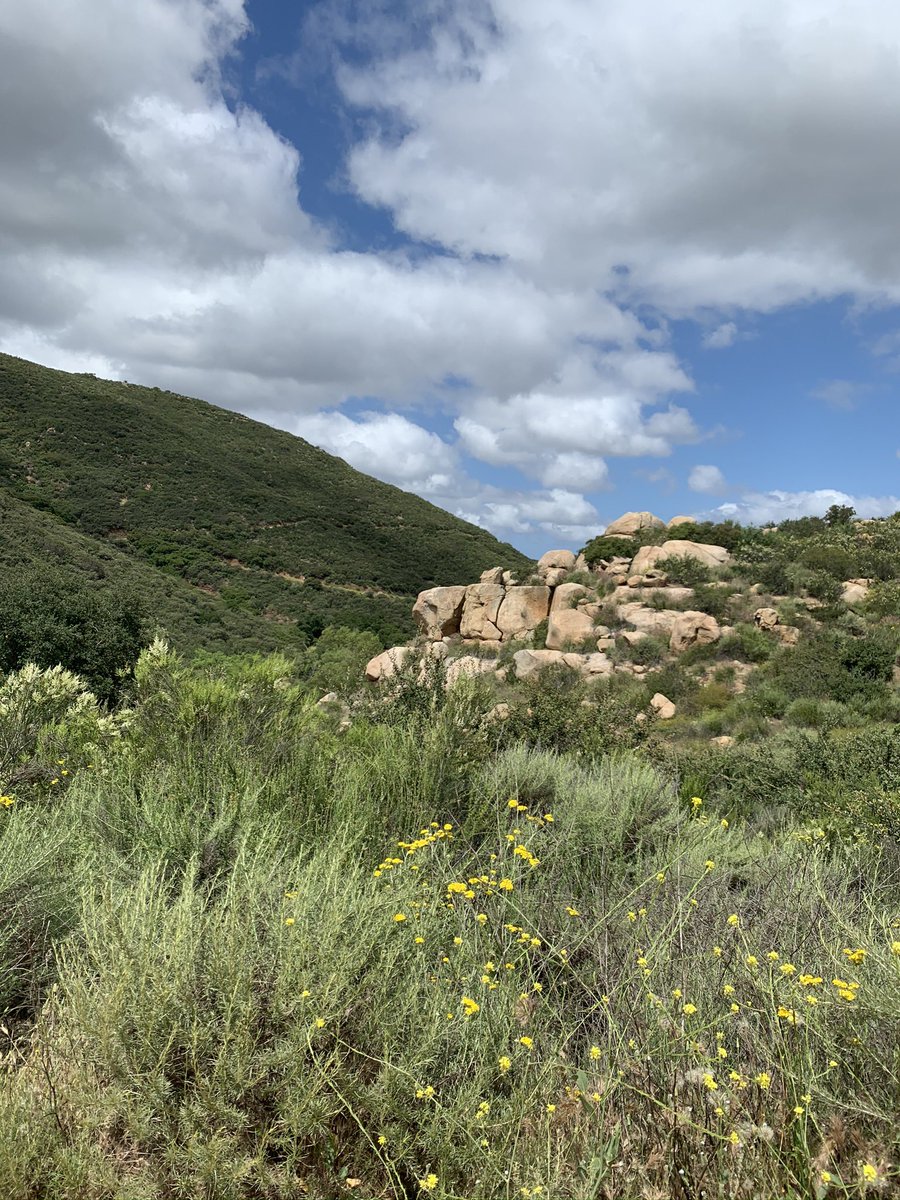 thekuriouskelly's tweet photo. @visitsandiego Definitely Mt. Woodson #VisitSD https://t.co/RH6A867t8o