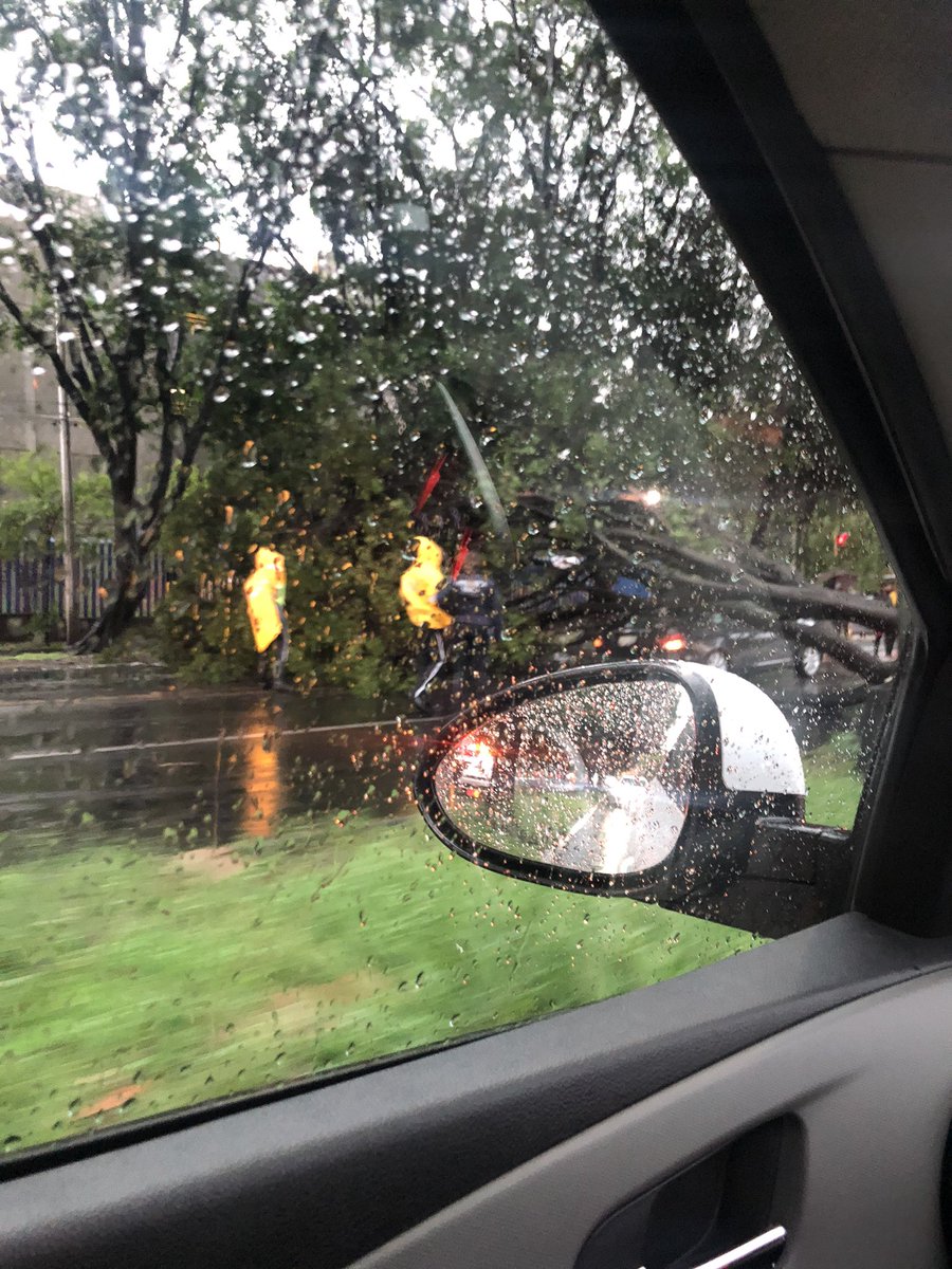 MarianaB27's tweet photo. @Trafico_ZMG Arbol cae sobre auto en Mariano Otero justo afuera de la Corona, carriles centrales https://t.co/AMse9lBPbk
