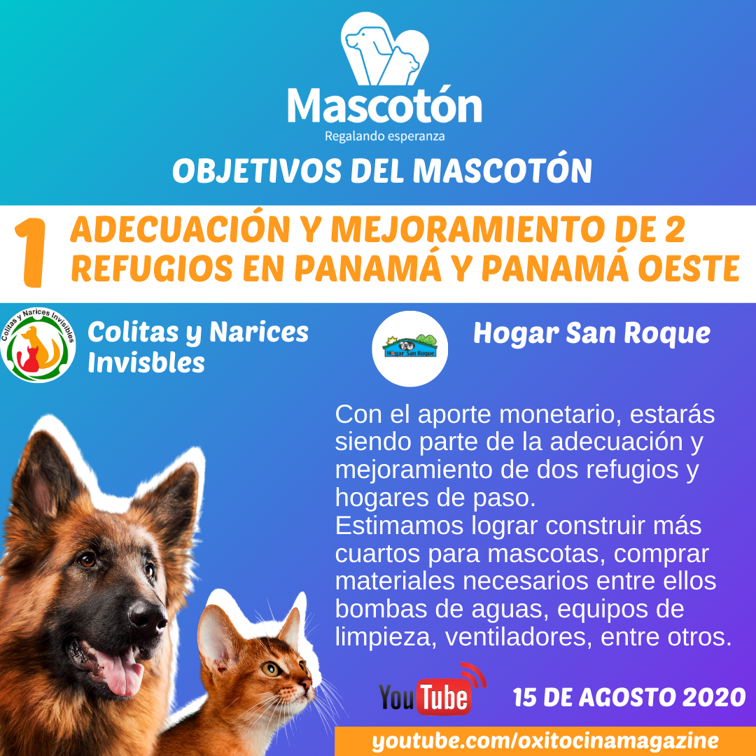 Mascotón tweet media