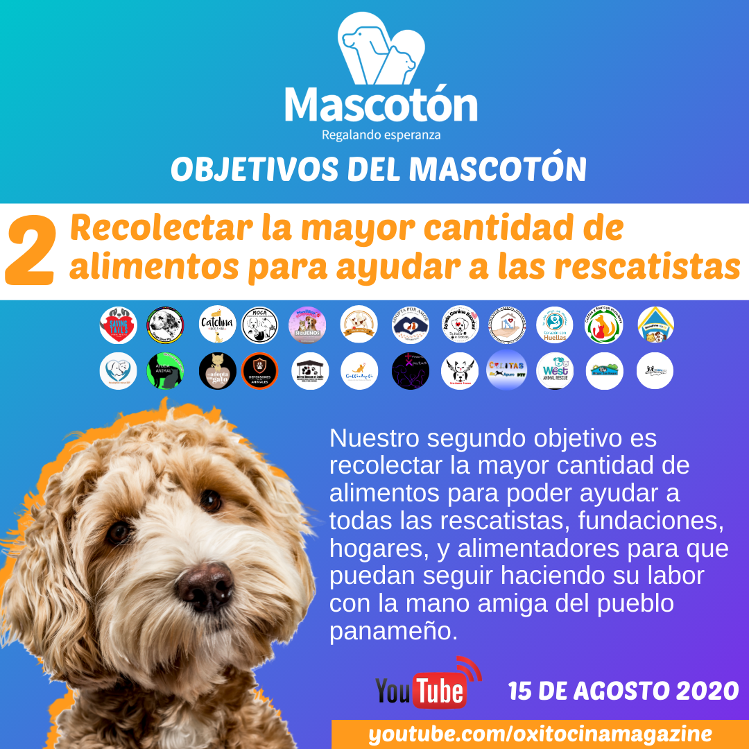 Mascotón tweet media