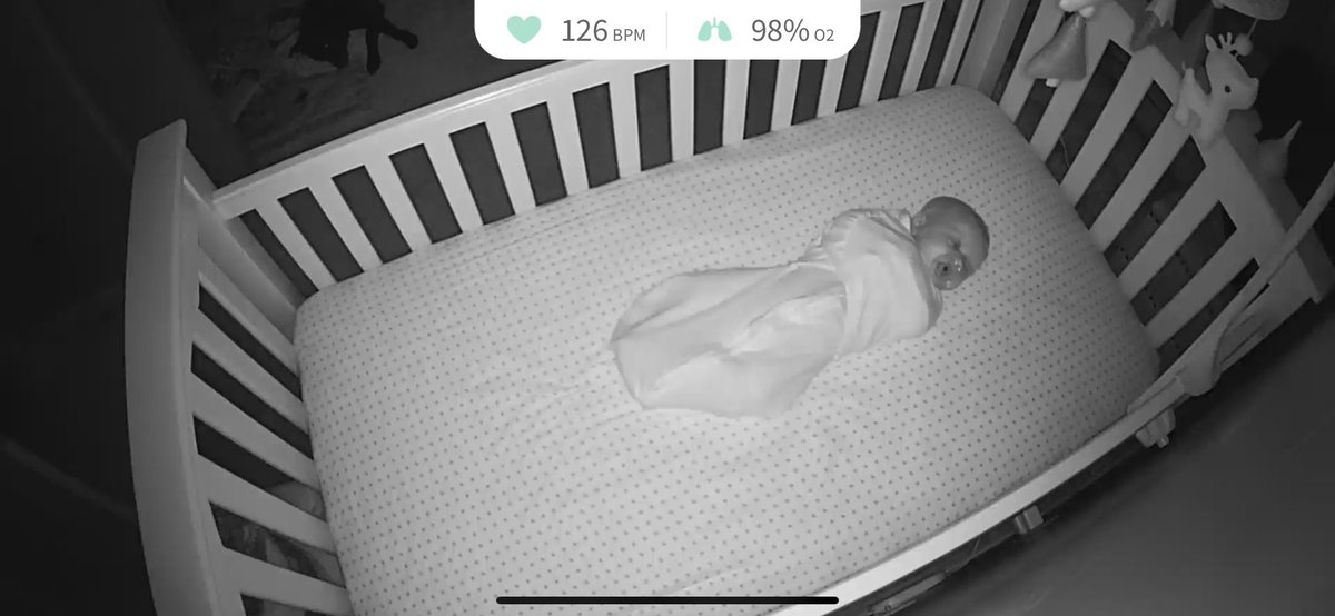 peggypluscat's tweet photo. Nala is snuggling on the floor in the baby’s room and I could cry 😭🥰 https://t.co/purTsSiTCR