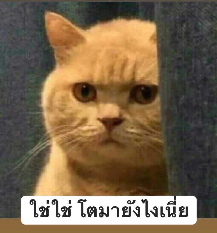 𝗔𝗥𝗔𝗠𝗢 𝗔𝗥𝗢𝗠𝗔 tweet media