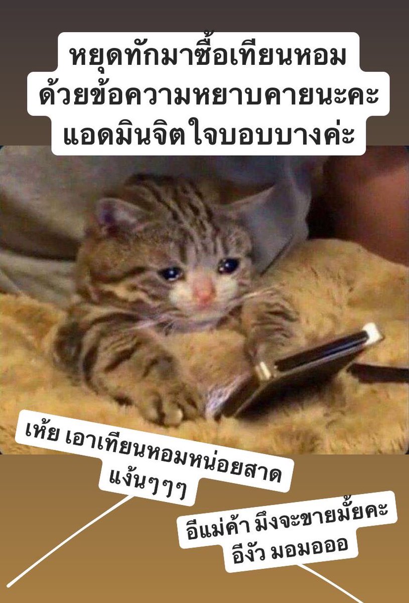 𝗔𝗥𝗔𝗠𝗢 𝗔𝗥𝗢𝗠𝗔 tweet media