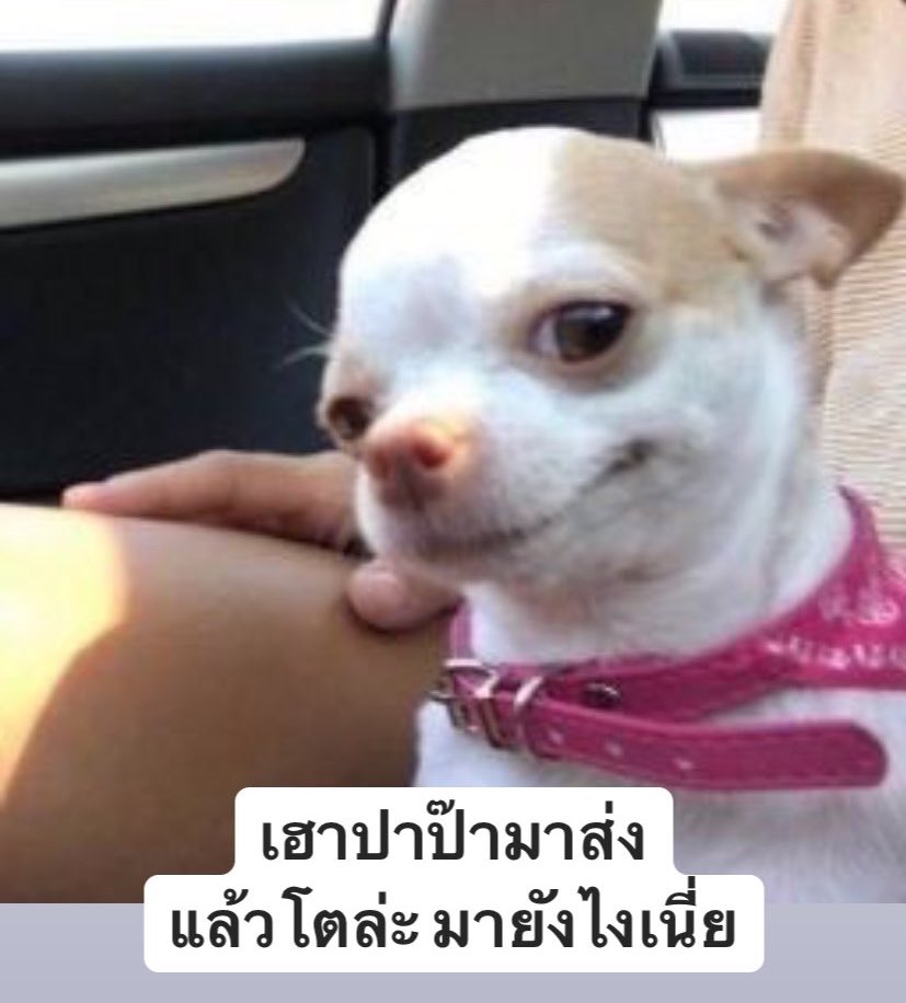 โตมายังไงเนี่ย !!!