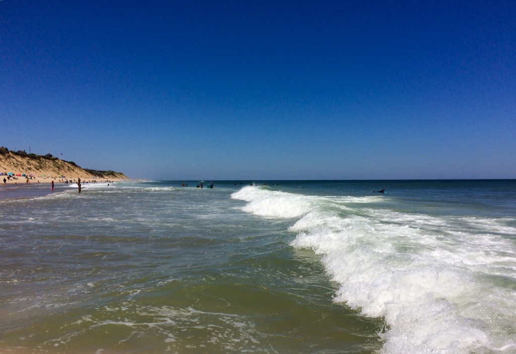 CapeCast tweet media