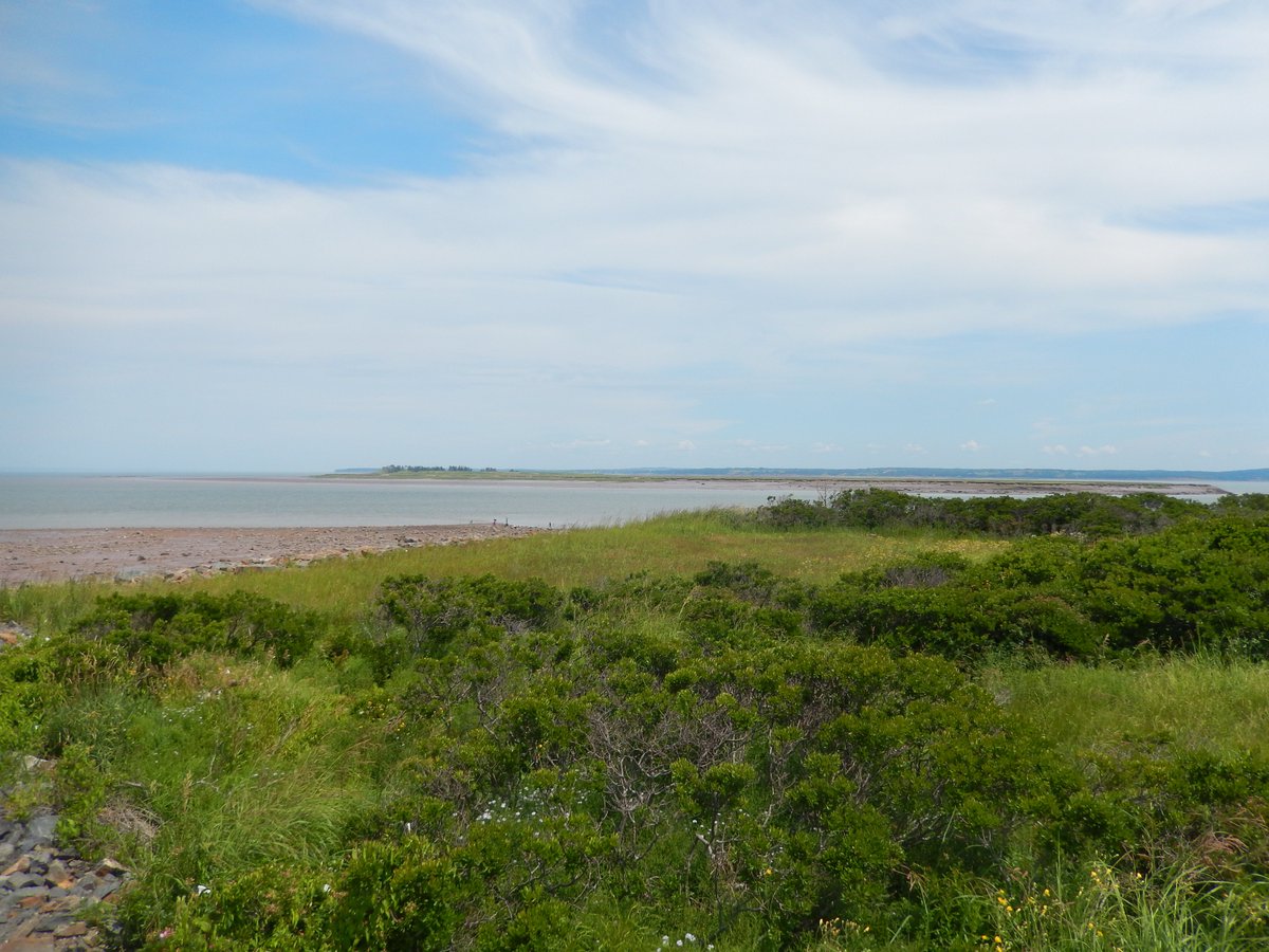 WikimediaCAfr's tweet photo. Merci @Fralambert1 qui a téléversé cette photo de la réserve nationale de faune de l'île Boot en #NouvelleÉcosse pour #WikiLovesEarth au #Canada et ajoutée sur #Wikipédia pour #WPWPCA!

Apprenez-en plus:
https://t.co/sYNyzRHa0H
https://t.co/KLxMmLofXo

Photo: Fralambert, CC-BY-SA https://t.co/pS6IzkZ9Zo