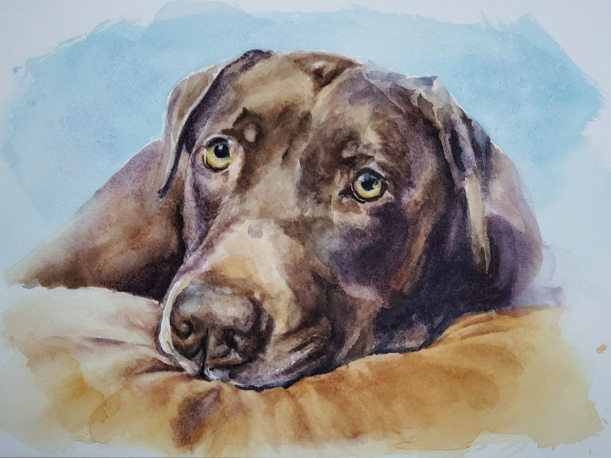 artful_turkey's tweet photo. Newest memorial painting for a friend #art #artist #animals #watercolour #watercolor #twitch #twitchstreamer #streamer #stream #paintings #portraitpainting #portrait #pets #dogs #commission #commissions #bcart https://t.co/eQgm0YVcR8