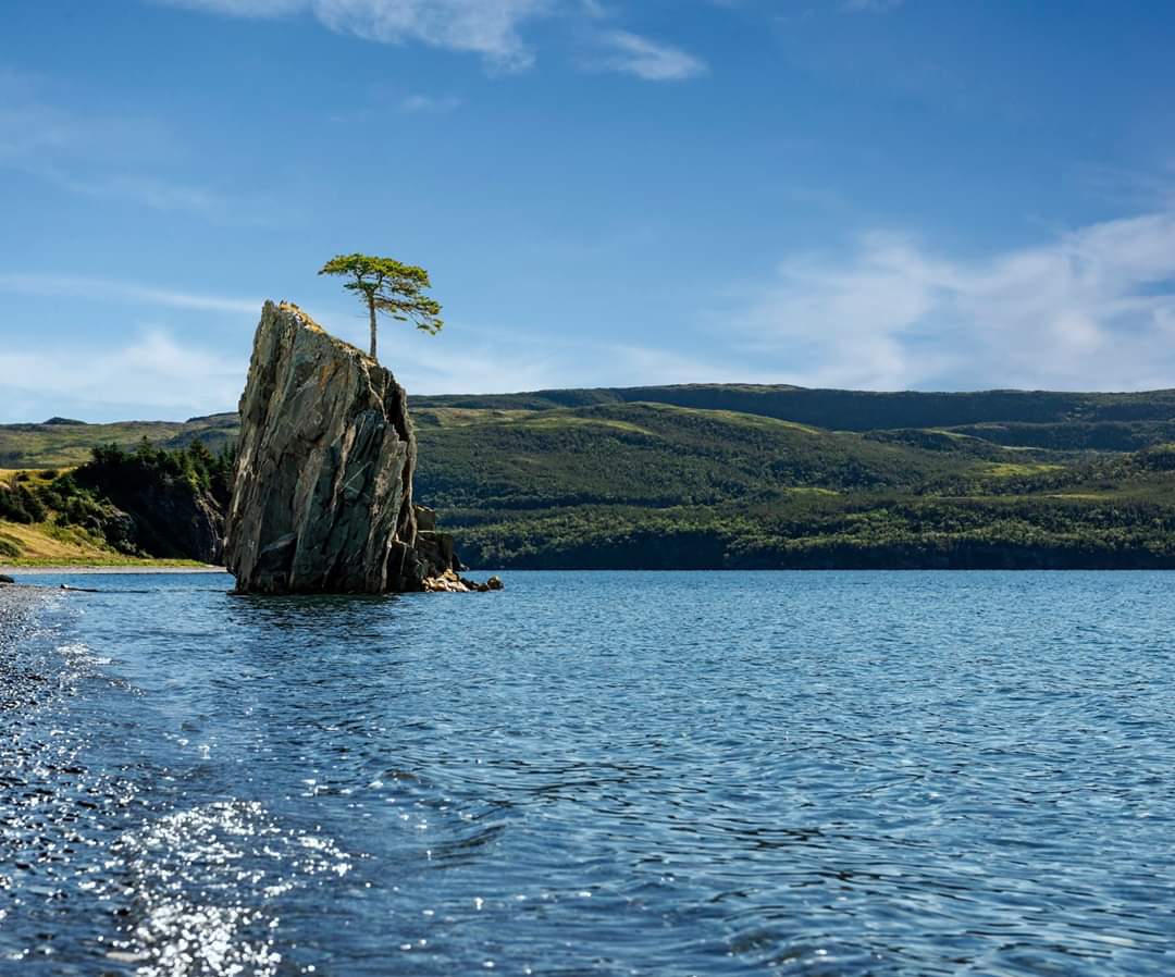 TeamShan's tweet photo. @CAPO_ACOP virtual conference July 14-16 #capo2020 #nooneisanisland #Newfoundland #stayhomeyear2020 #waittoexploreNL ♥️ https://t.co/ZP0bNrv2Hk