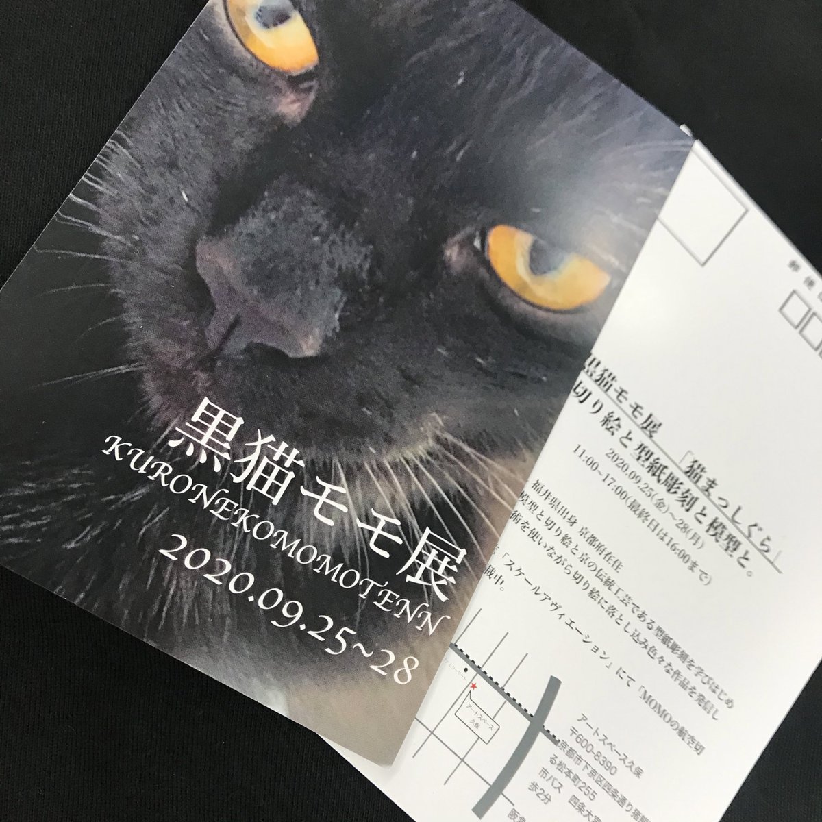 佐藤ミナミ スケールアヴィエーション で切り絵の連載をしている 黒猫モモちゃん Momowanwan の個展のdmをいただきました 可愛い黒猫 個展名は 猫まっしぐら 9月25日 28日まで 京都のアートスペース久保さんで開催されるそうです 行き