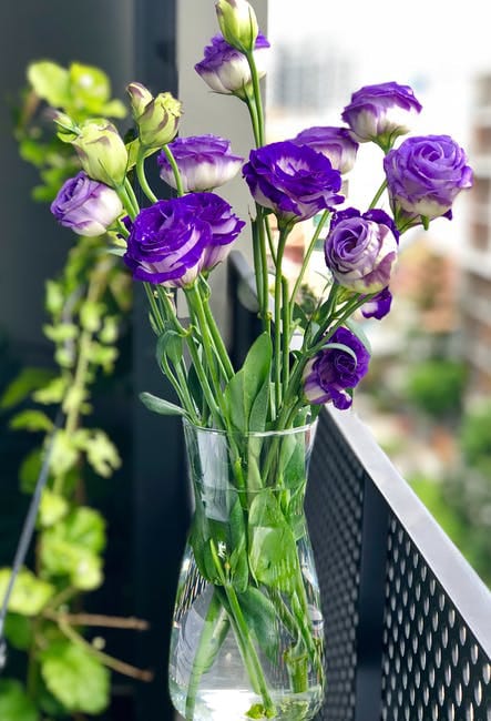 manumainwa's tweet photo. #RefreshingMorning
#flowerlover
#GoodMorningTwitterWorld https://t.co/M7jOAgJK92