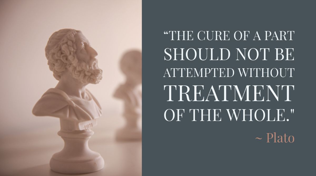 The cure of a part should not be attempted without treatment of the whole.
