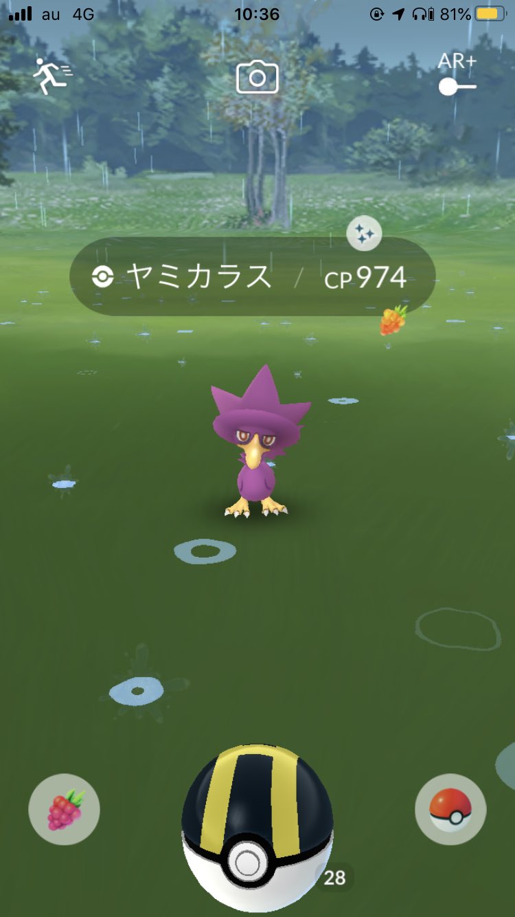 色違いドンカラス Twitter Search Twitter