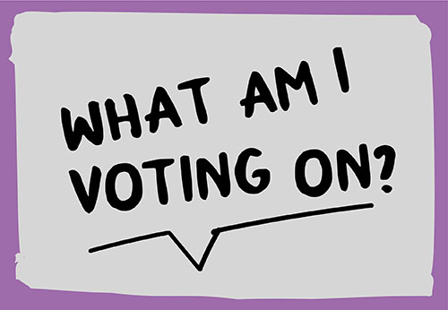 At this year's General Election, you will be asked to vote in 2 referendums, about recreational cannabis and the End of Life Choice Act 2019.

NZSL videos about the 2 referendums are available now.

referendums.govt.nz/nzsl.html