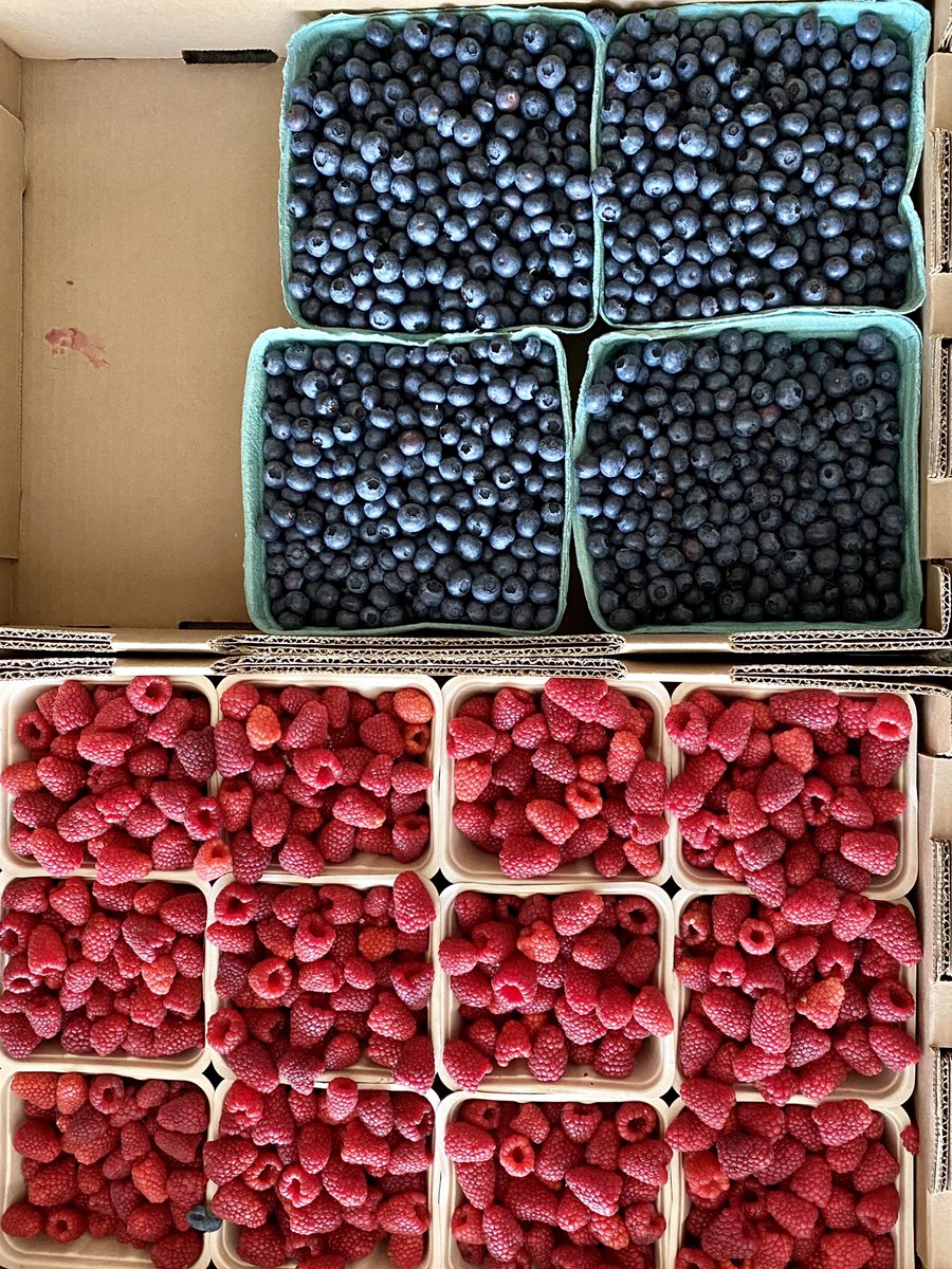 br_webb's tweet image. Look what I got today! #canvolution #canningseason