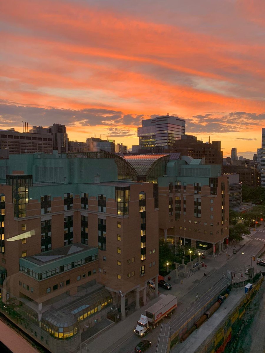 An amazing summer shot taken by one of our hard working fellows Marisol Lolas of a great institution and a rewarding place to work! @SickKidsNews #nofilter #SKPeeps