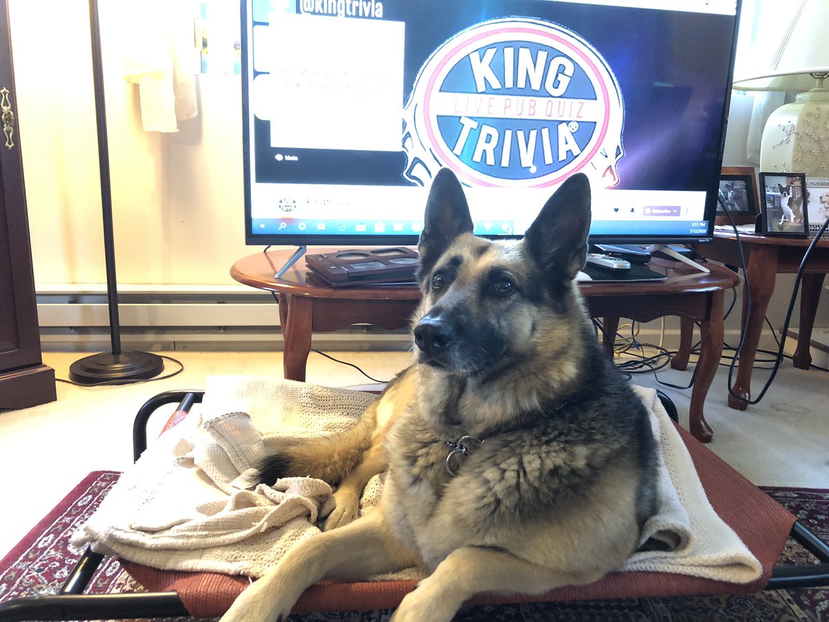 cavu42's tweet photo. @KingTrivia Noel is ready for some Trivia tonight! https://t.co/5Ic8N5f3LK