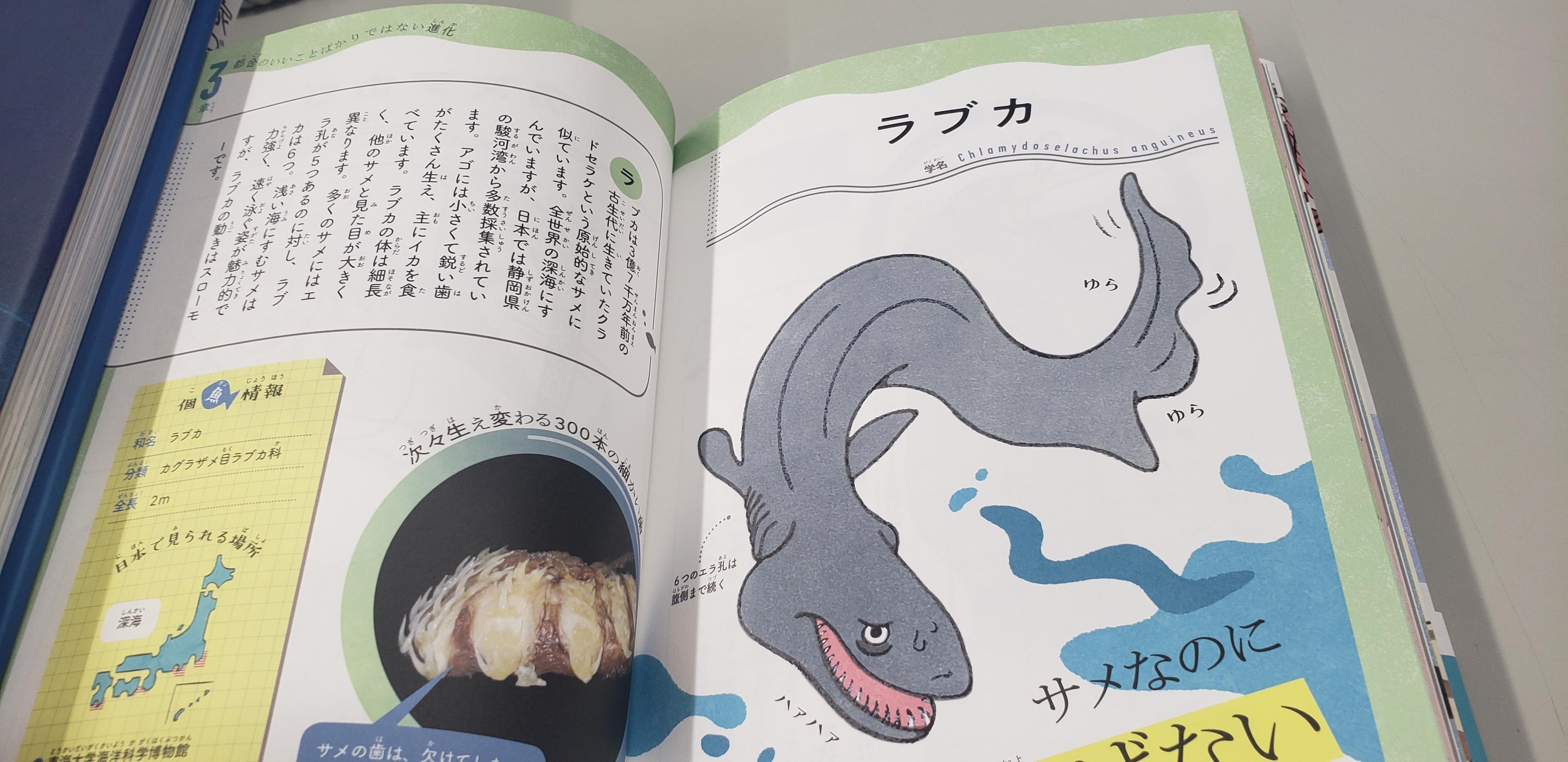 エクスナレッジ En Twitter 今月の新刊 けなげな魚図鑑 松浦啓一 どんな魚にも人知れぬ苦労があります この本 に収録されている80種近い魚は すべて日本に棲んでいます 過酷な環境で生きる魚たちが けなげに強く切なく生き抜く様子を図解した本です 魚も