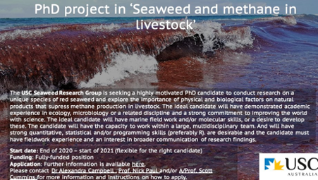 Come and study #seaweed with us. Three (yes, 3!) PhD scholarships on all things seaweed, based on the Sunshine Coast <a href="/usceduau/">UniSC: University of the Sunshine Coast</a> Australia. We are looking for new team members to work on exciting projects in restorative aquaculture and marine biodiscovery. Details in thread ...