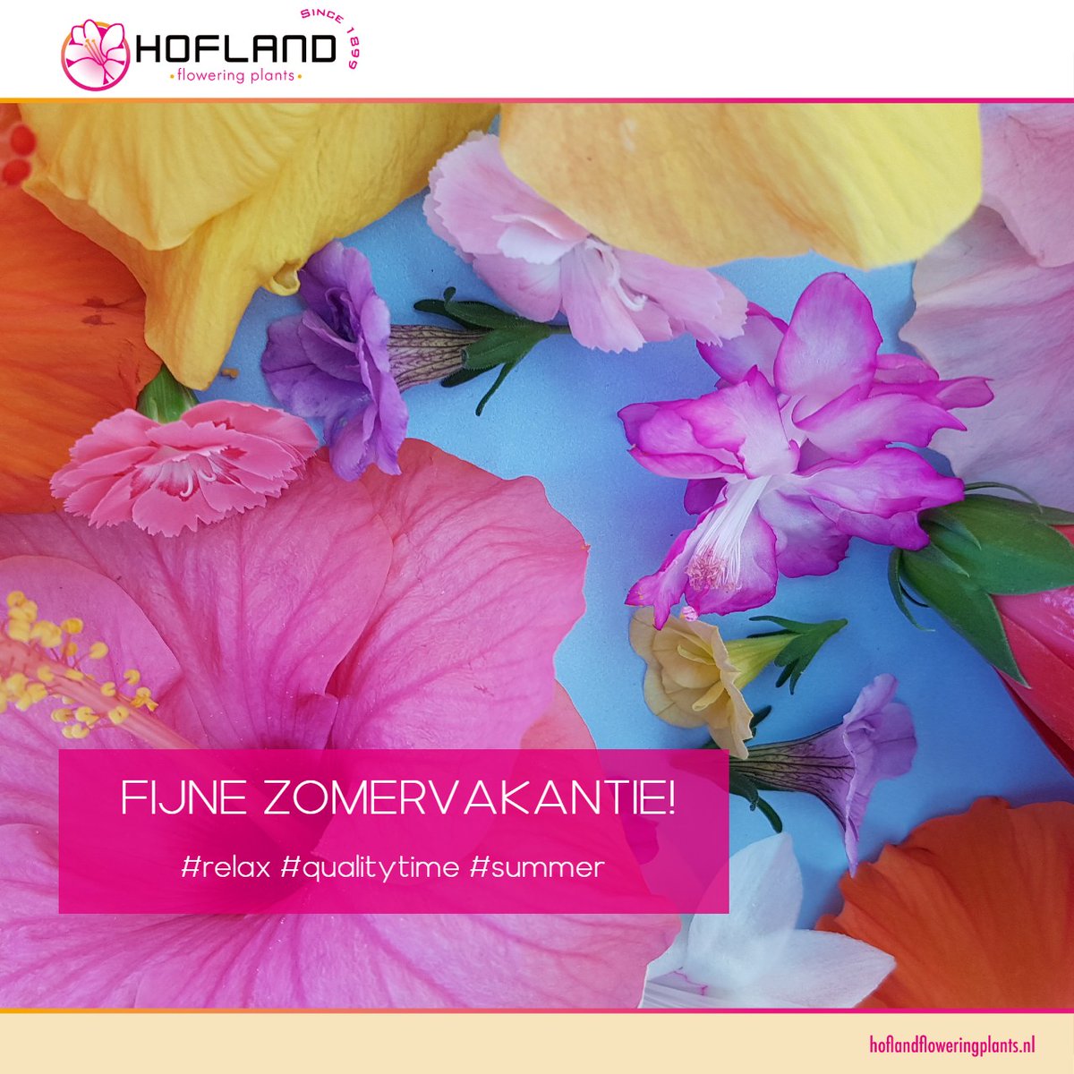 Wij wensen iedereen een hele #zonnige en #goede #zomervakantie toe! #genieten #qualitytime #summer #summervibes