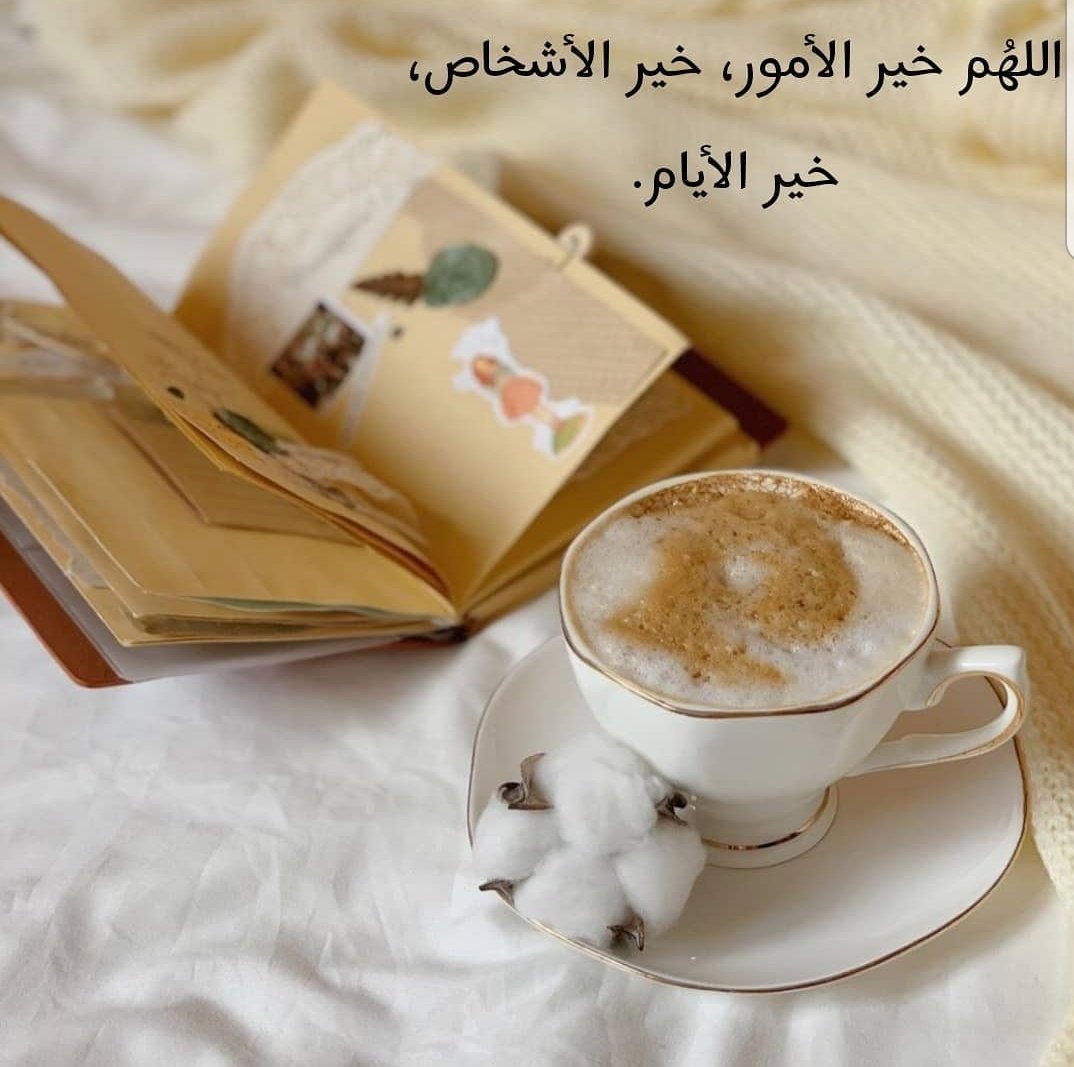 اللهم خير الأمور...

         خير الأشخاص؛؛؛؛

                  خير الأيام.....🧡

#صباح_الخير