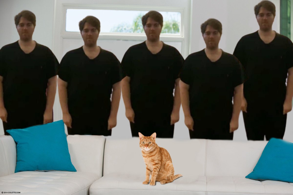 cursed images tweet media