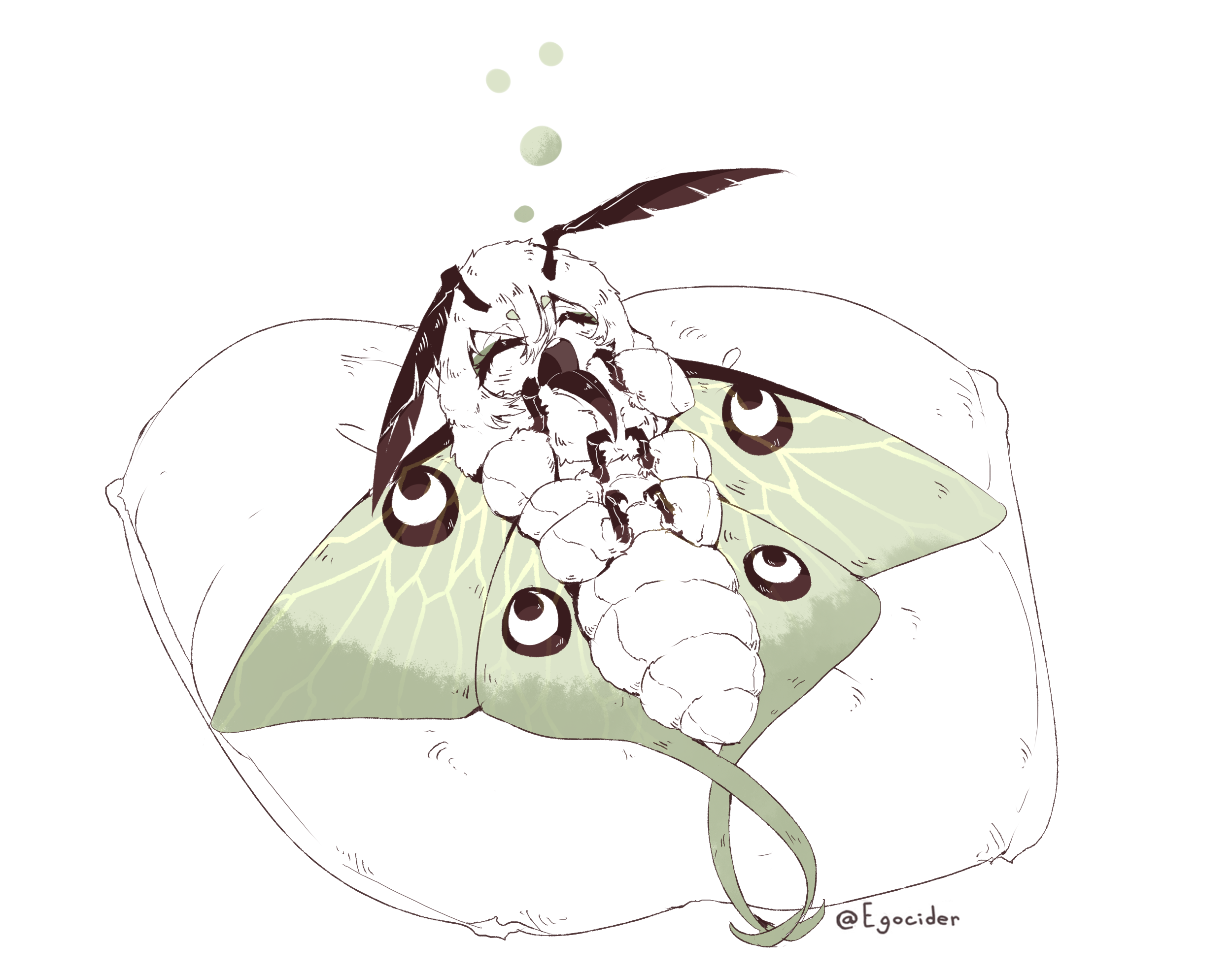 Monster girl аниме Moth