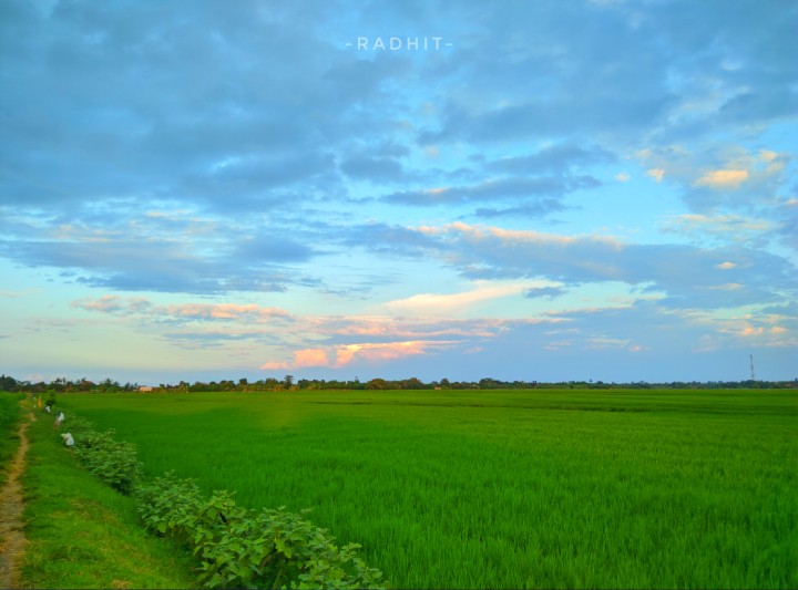 Radhit Candra (@ditcd) on Twitter photo 