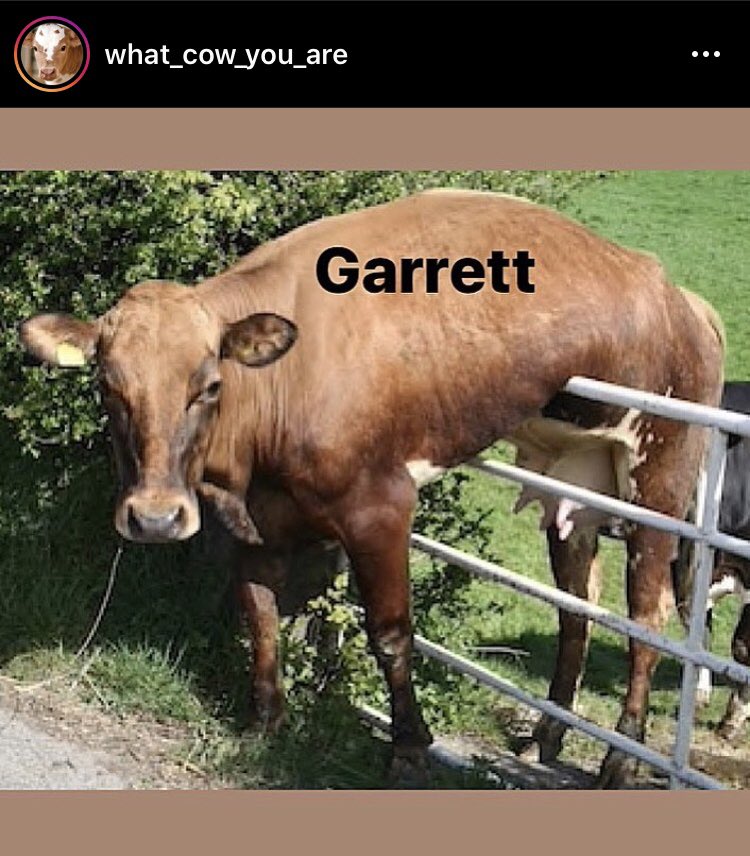 garrettbreland's tweet photo. been learning a lot about myself lately https://t.co/iEuJ1zFdCS
