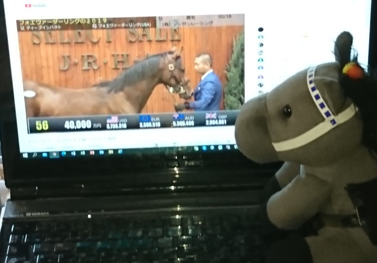 NextVoyage2007's tweet image. 午後の通院予約に備え帰宅したらセレクトセールの映像を見ているウチのおじちゃん(オグリ)

ちょうど4億で落札された馬のシーンを見たのか「市場も活況なのね」とボヤく。

平行して #競馬実況web に流れるニュースもチェックするので今日と明日はおじちゃんがボヤきまくるんだろう…

#keiba_radio