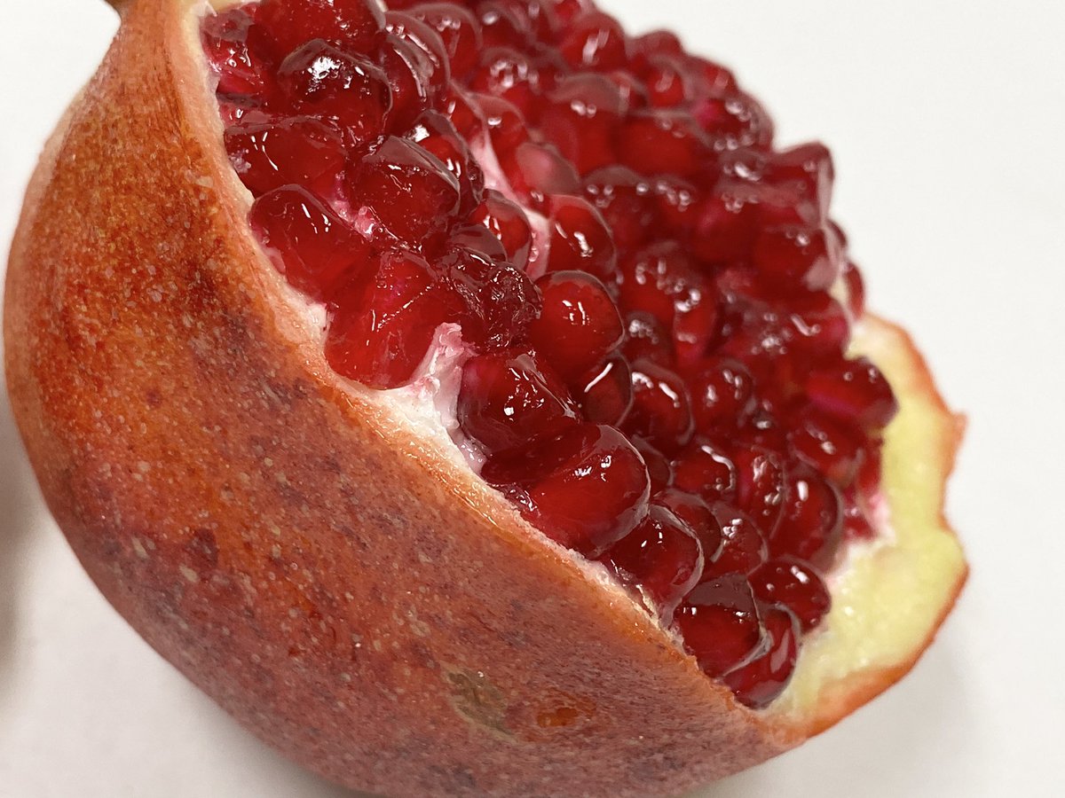 食品サンプル 柘榴割れ ザクロざくろ