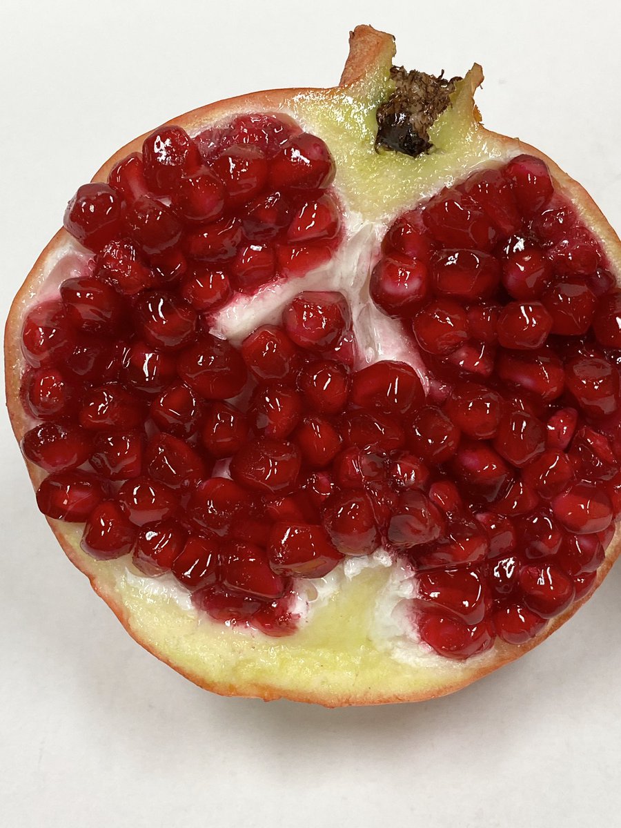 食品サンプル 柘榴割れ ザクロざくろ